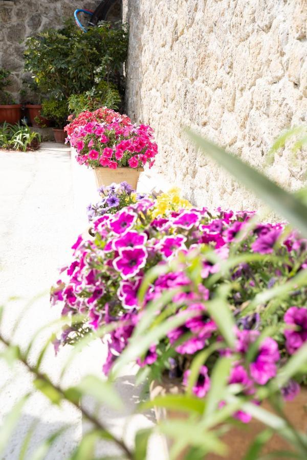 La Bella Vita - Luxury Holiday House Close To Corfu Town Potamos  Ngoại thất bức ảnh